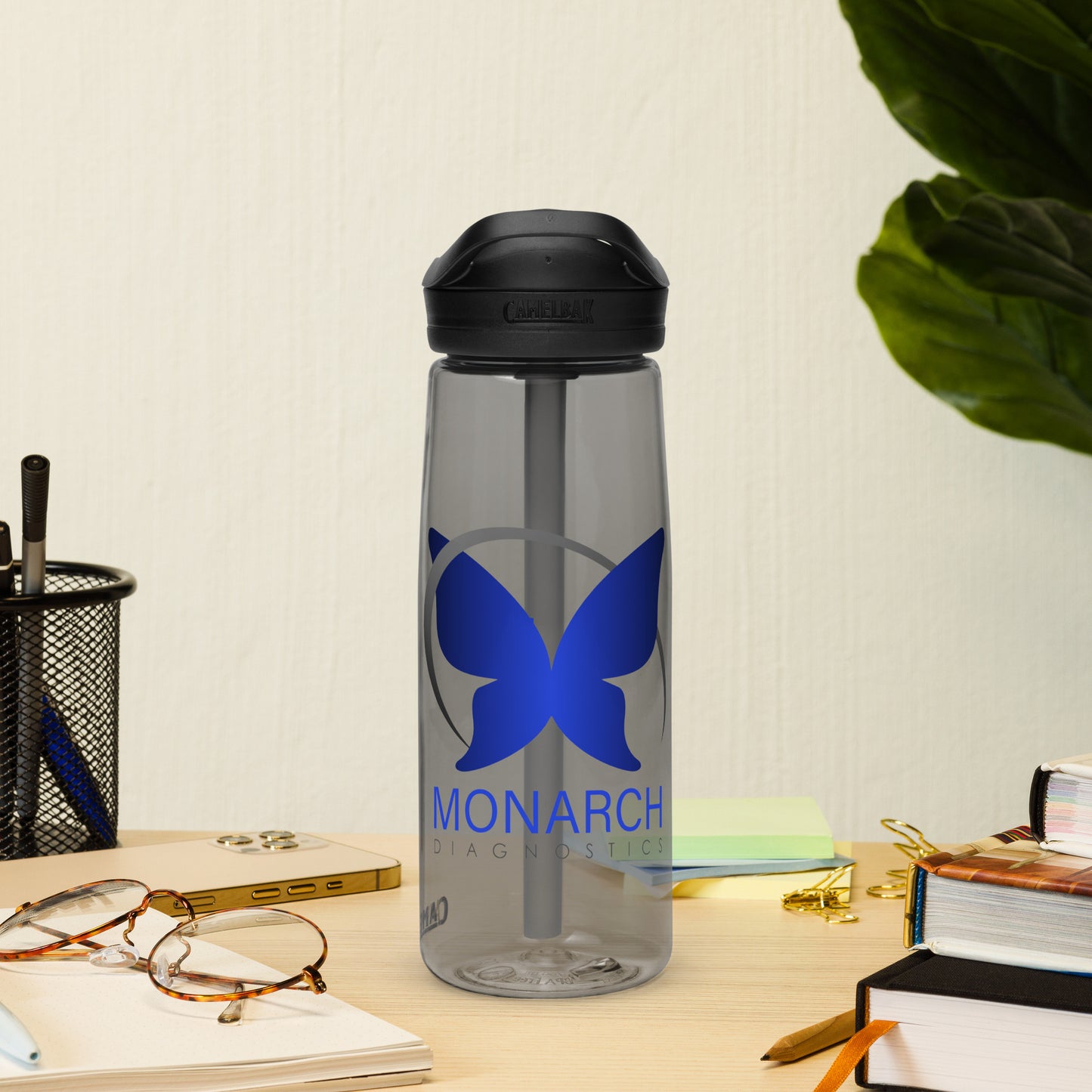Sports water bottle