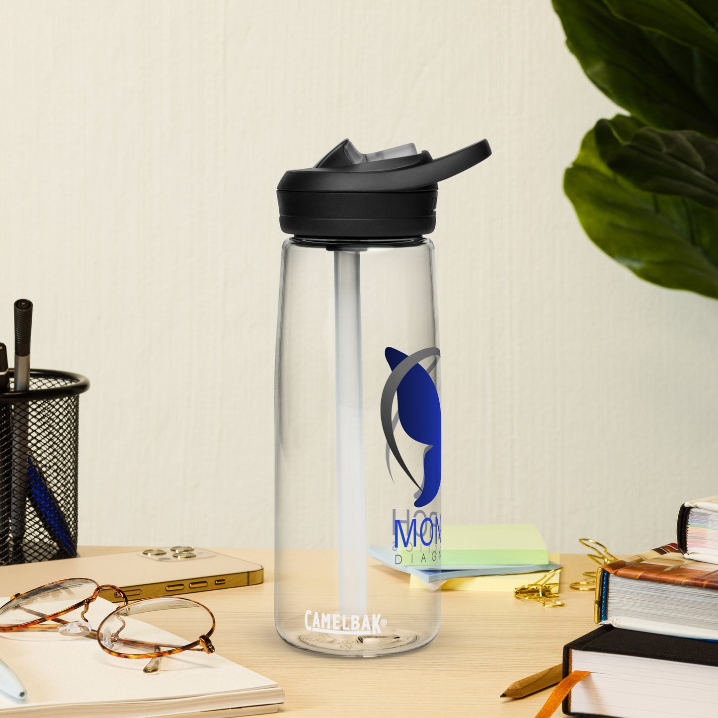 Sports water bottle